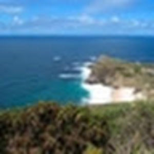 Meet your Posher, Trisha